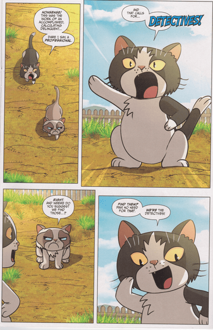 Custom Illustrations