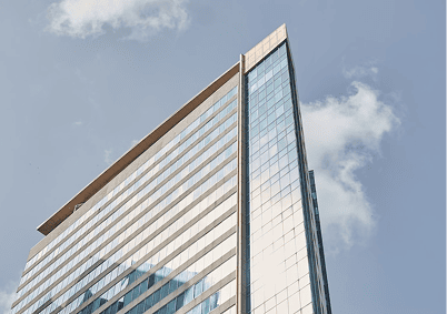 Enterprise & Large Organizations