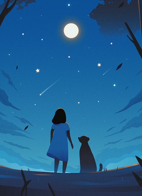 Illustrations