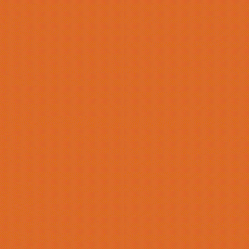 Motion-Graphics