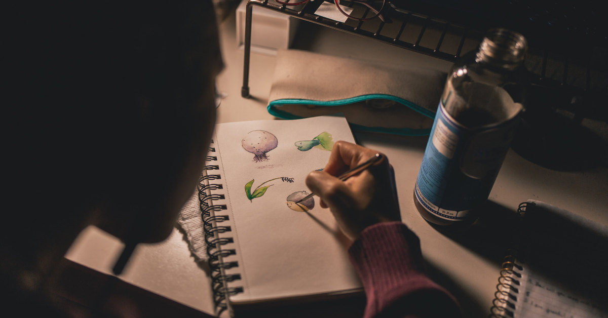 hand drawings
