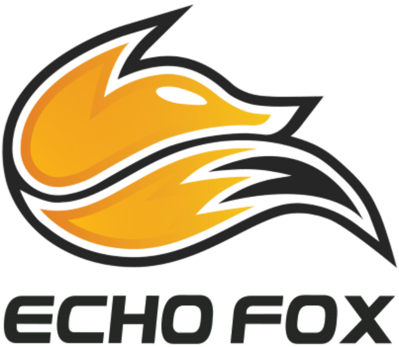 echo fox gaming team