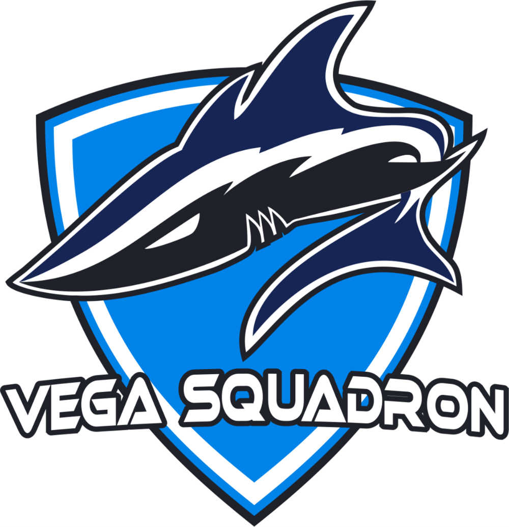 vega squadron gaming team