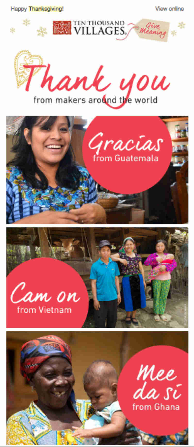 thanksgiving newsletter