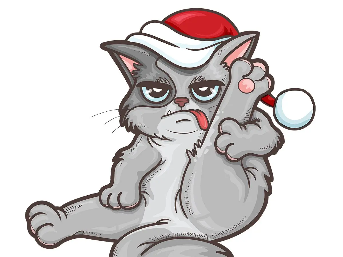 Illustrations – Grumpy cat