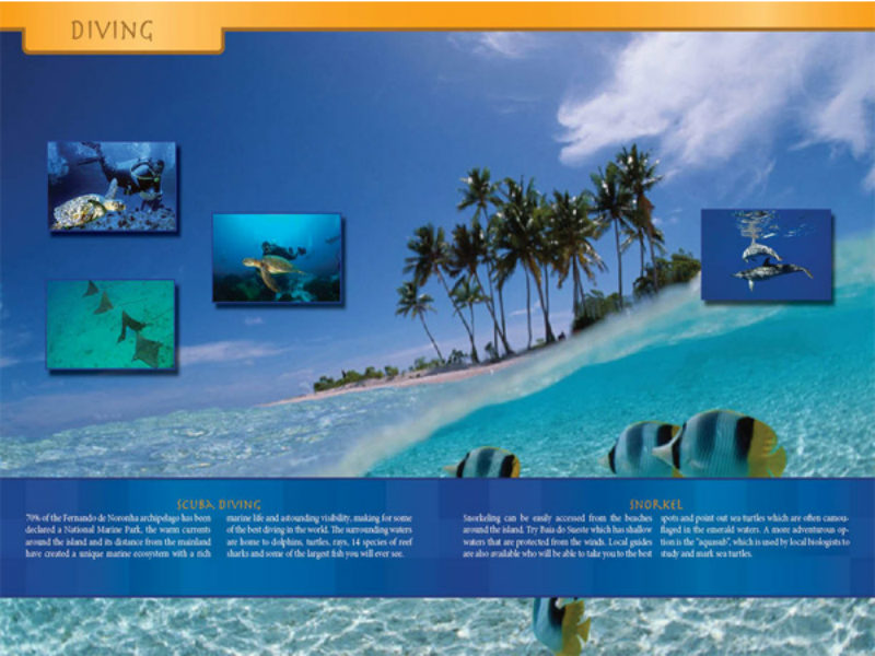 brochure graphic design example