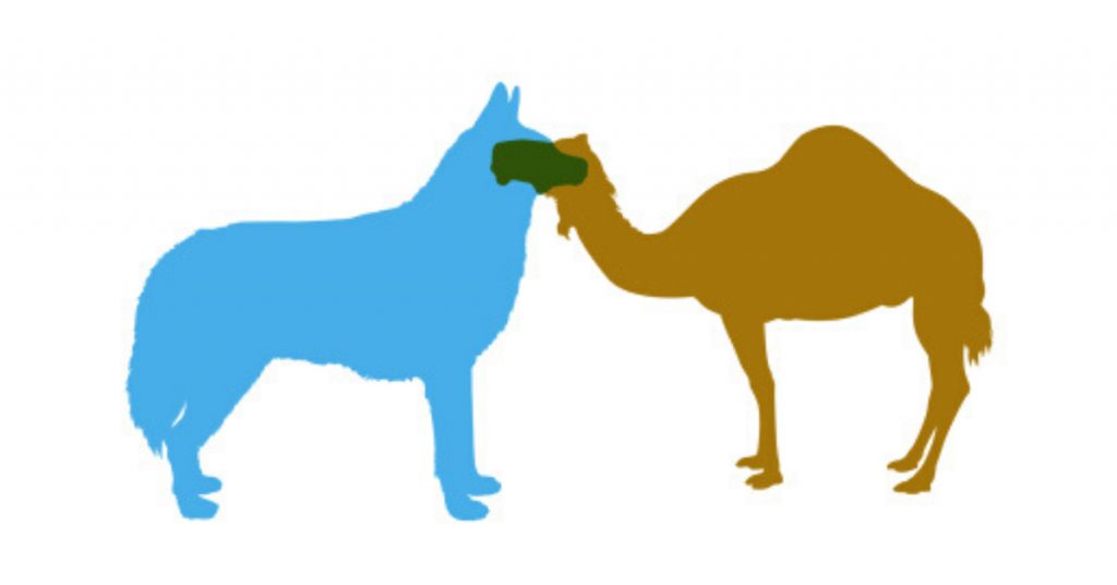 jeep ad art camel and wolf