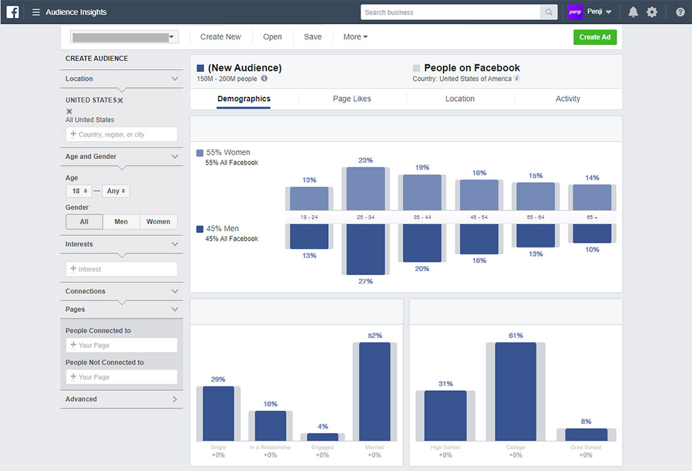Facebook audience insights