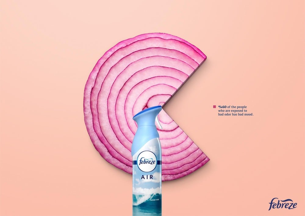 Febreze onion pie chart design example