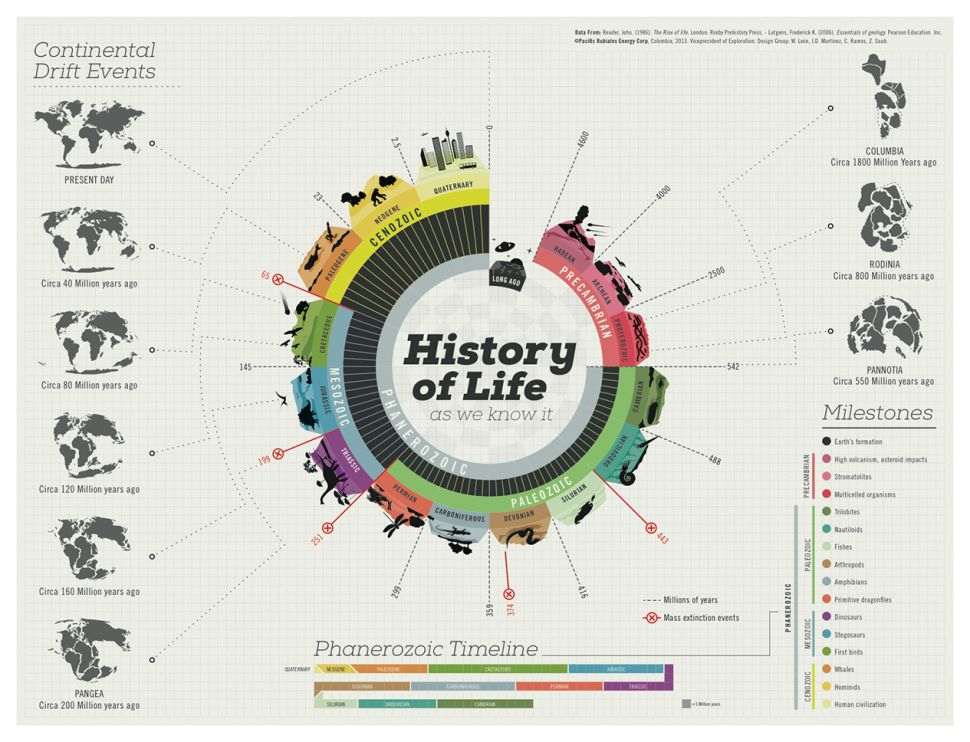 infographic timeline ideas for kids