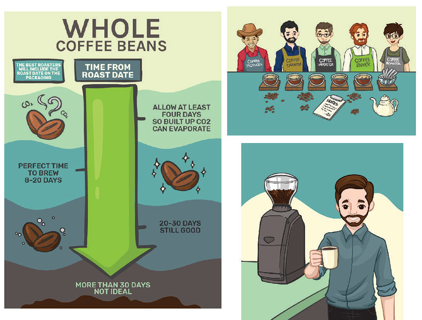 Whole Coffee Beans infographics