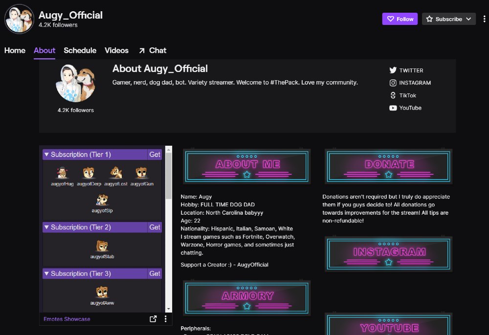 Cute Twitch Panels 13 Neon Blue Minimalistic Panels for Twitch