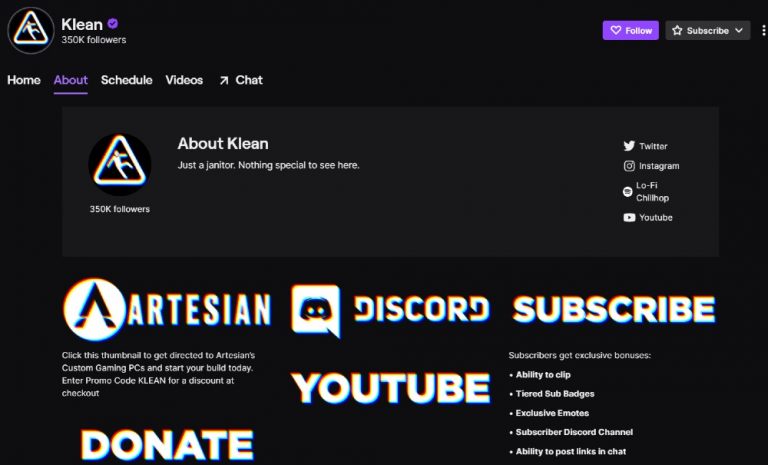 twitch panels examples