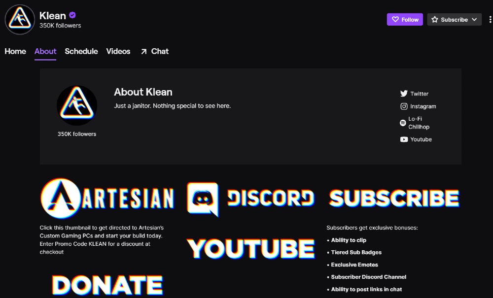 twitch panel example