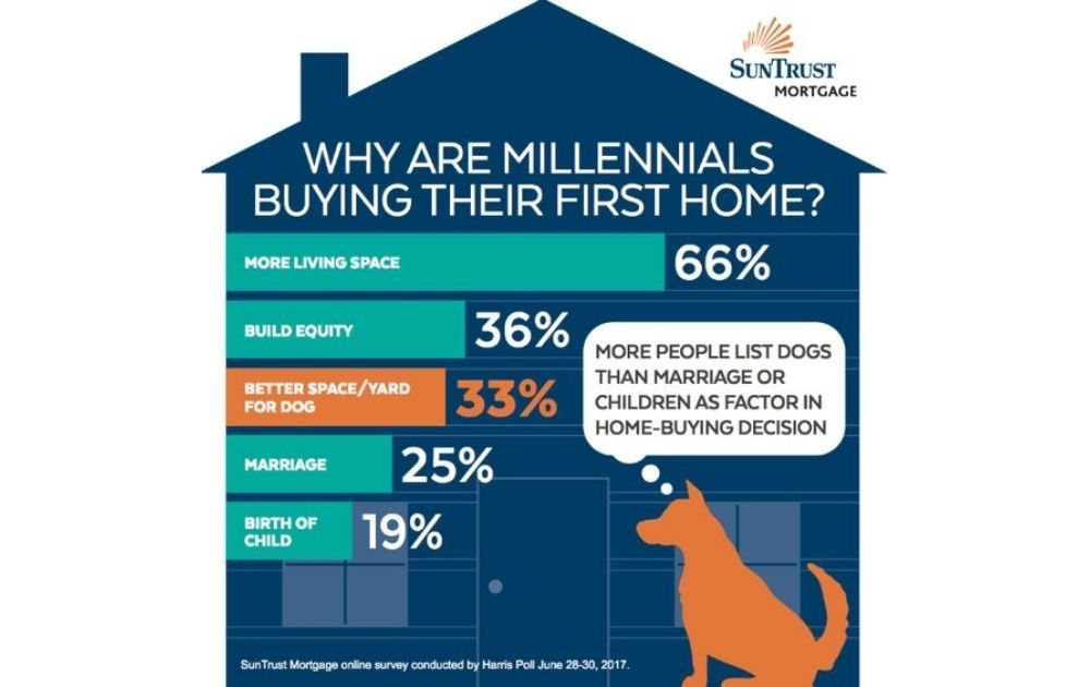 real estate infographics