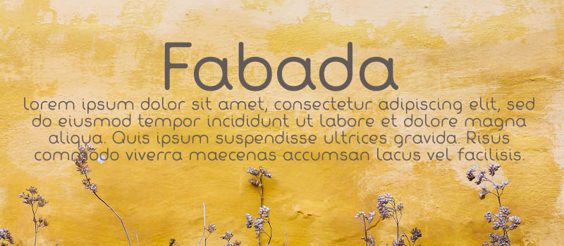 fonts for designers example