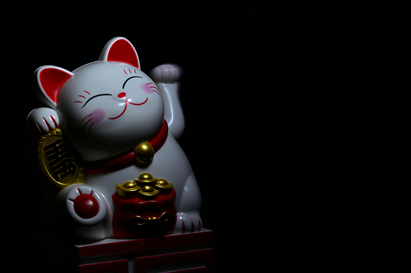 lucky cat