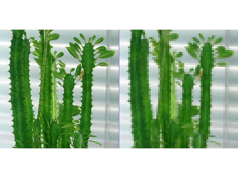 An image with compression (L) and without compression (R)