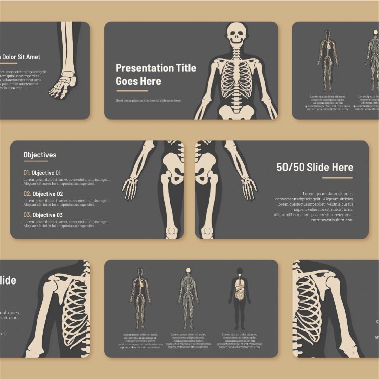 Creative anatomy presentation