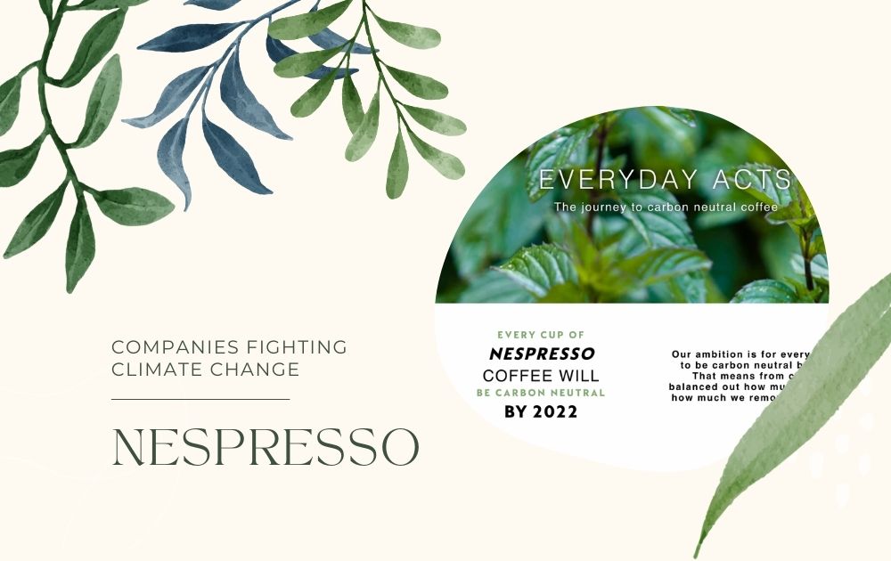 Nespresso: 'Every cup of our coffee will be carbon neutral by 2022