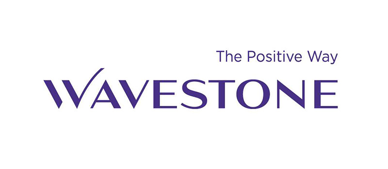 consulting logo for wavestone