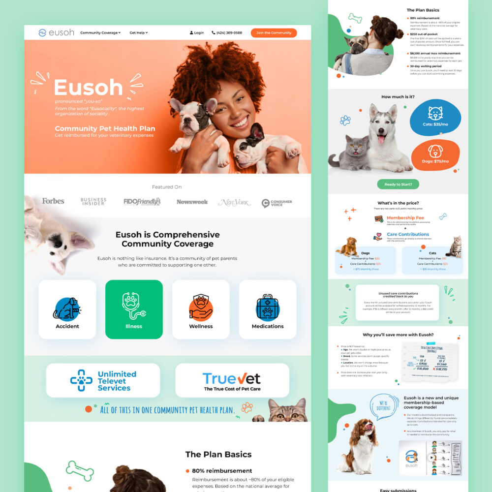 Eusoh web design