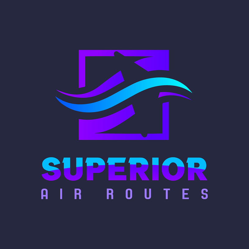 airline logo example