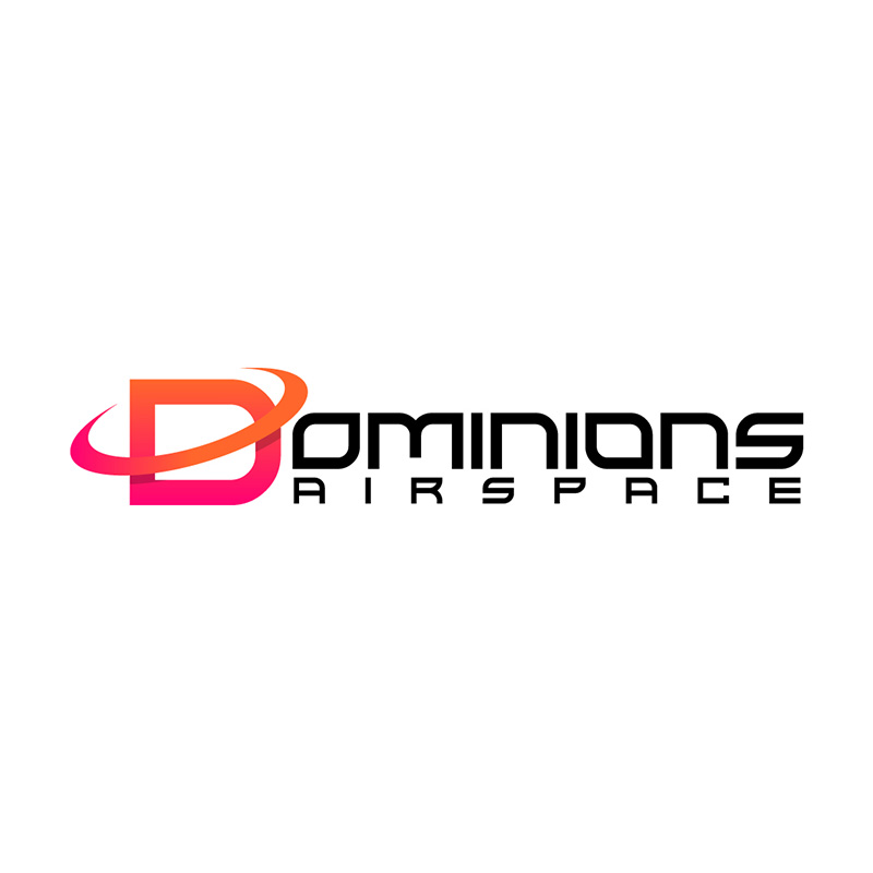 airline logo example