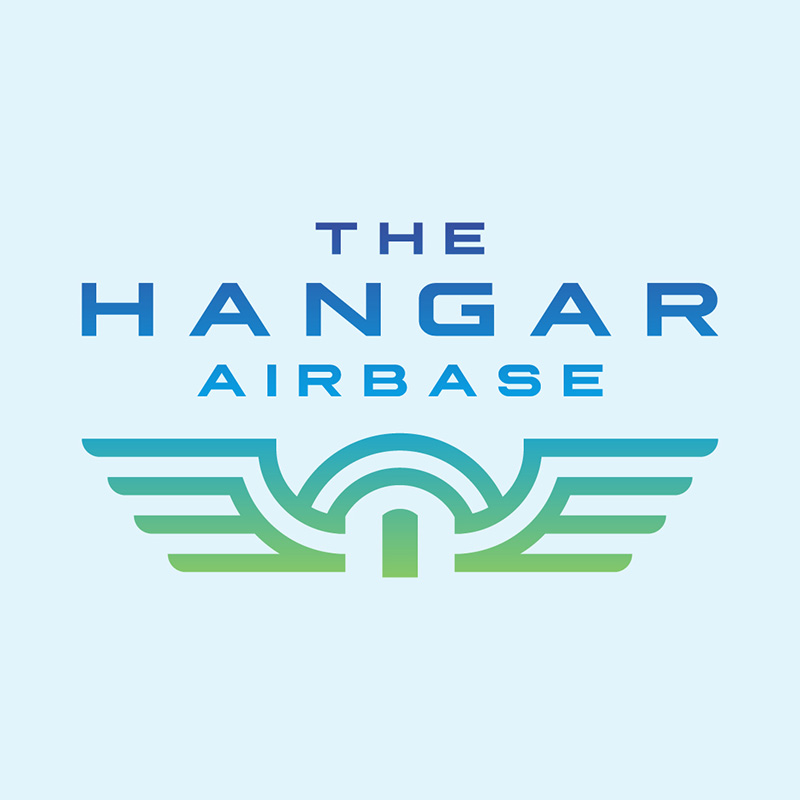 airline logo example