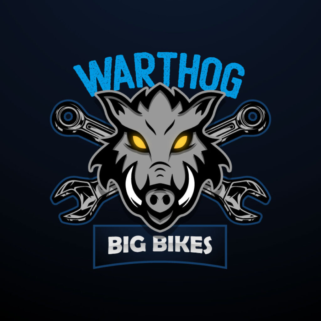 creative mascot logo example