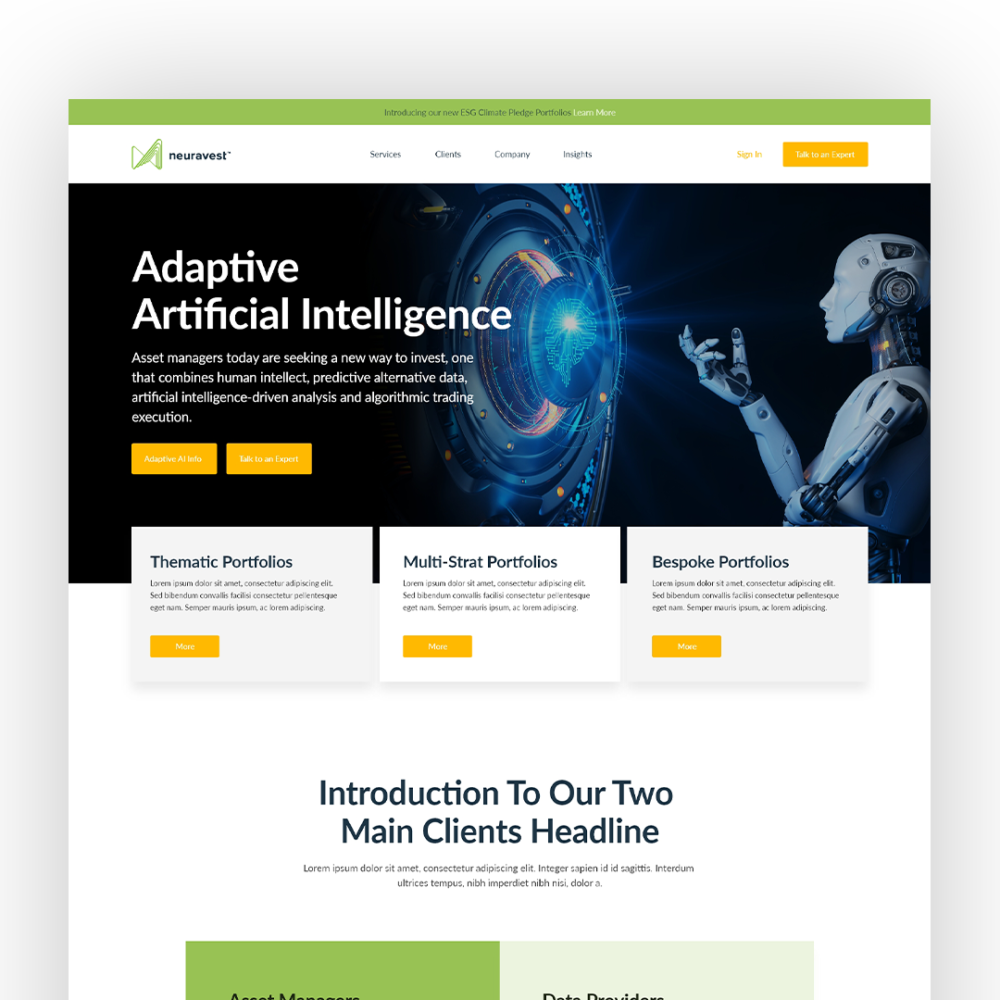 Neuravest web design