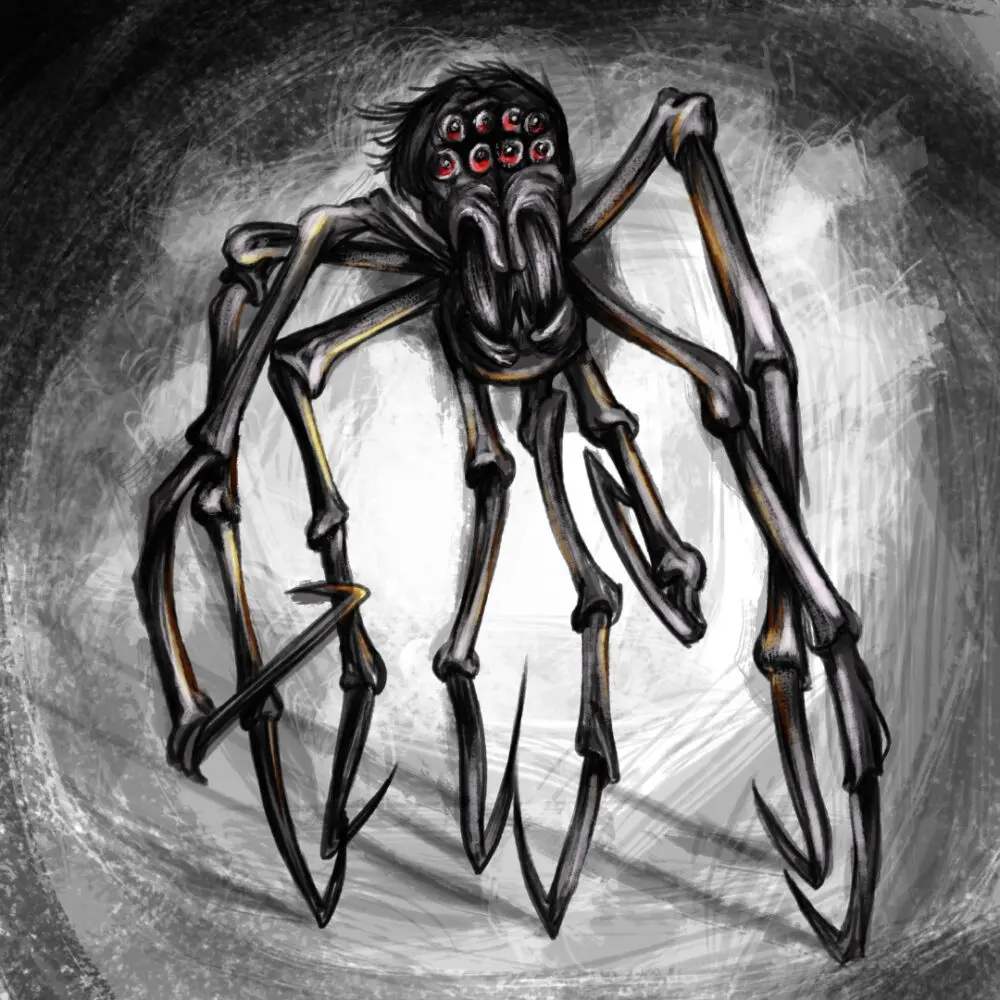 Illustration – Spider