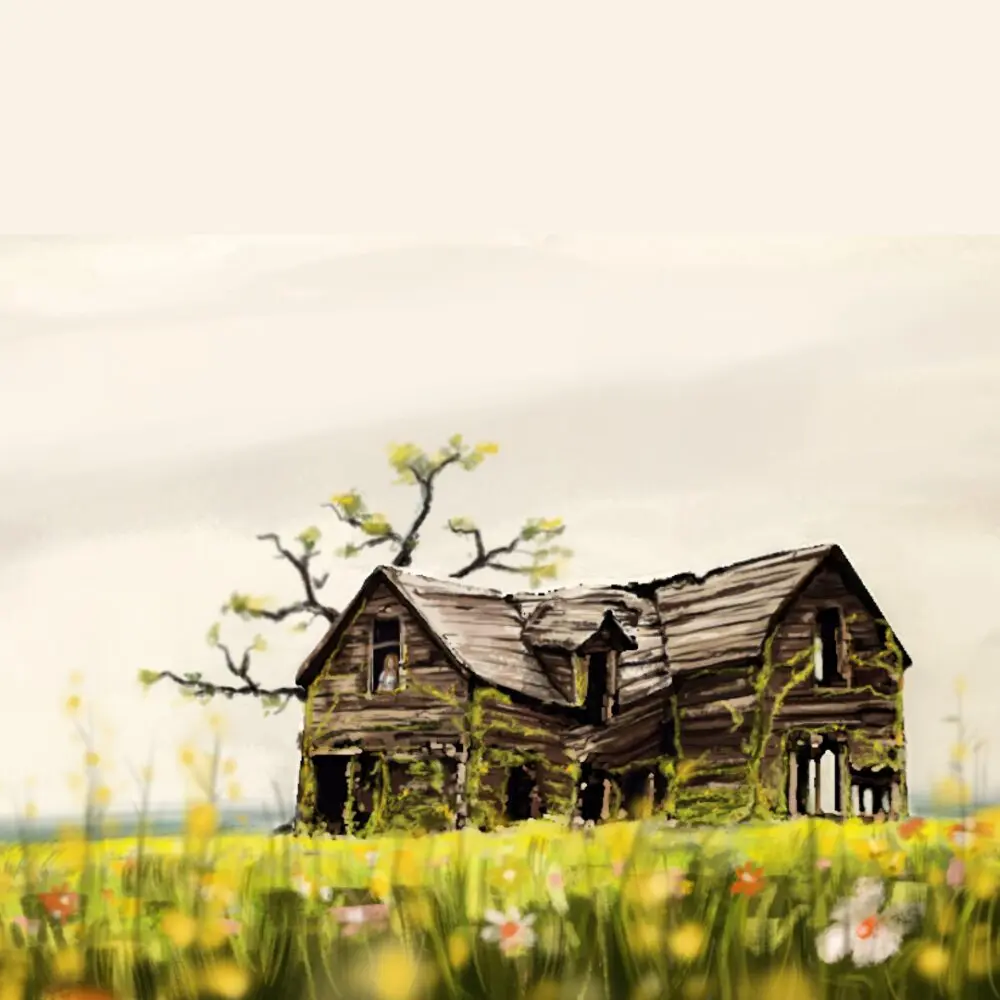 Enigma Scapes Illustrations