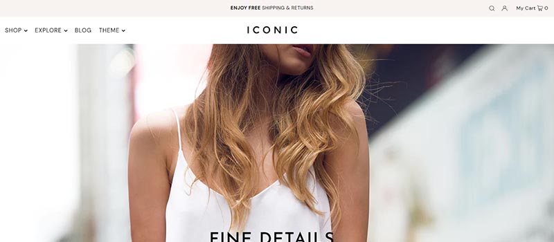 shopify theme example