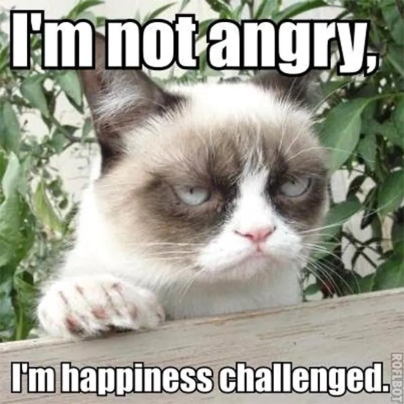 Old school Grumpy Cat meme reading "I'm not angry, I'm happiness challenged"