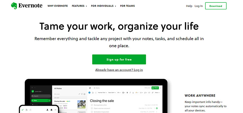 webpage design example