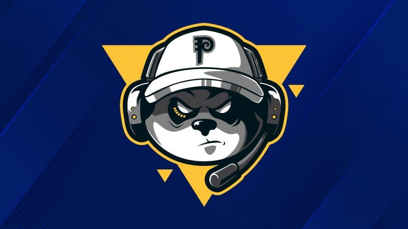 mascot design for sports team