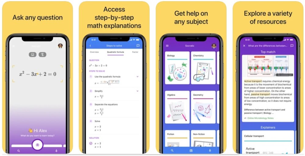 AI chatbot interface