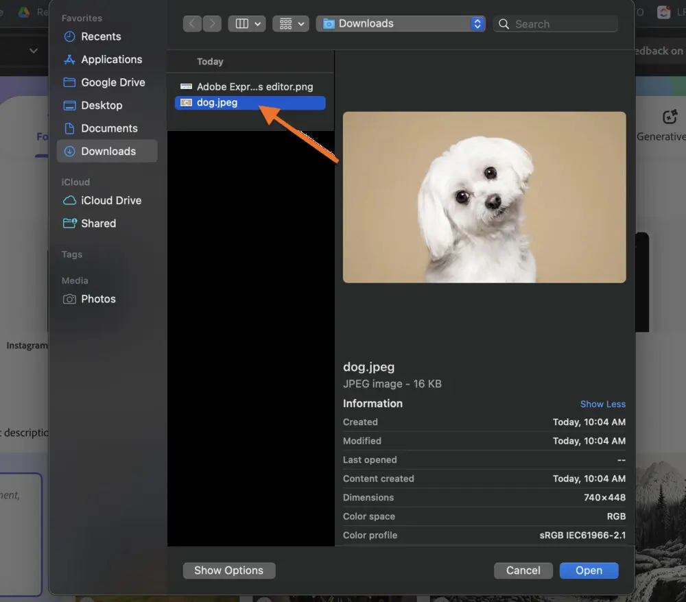 Adobe Photoshop Express editor interface