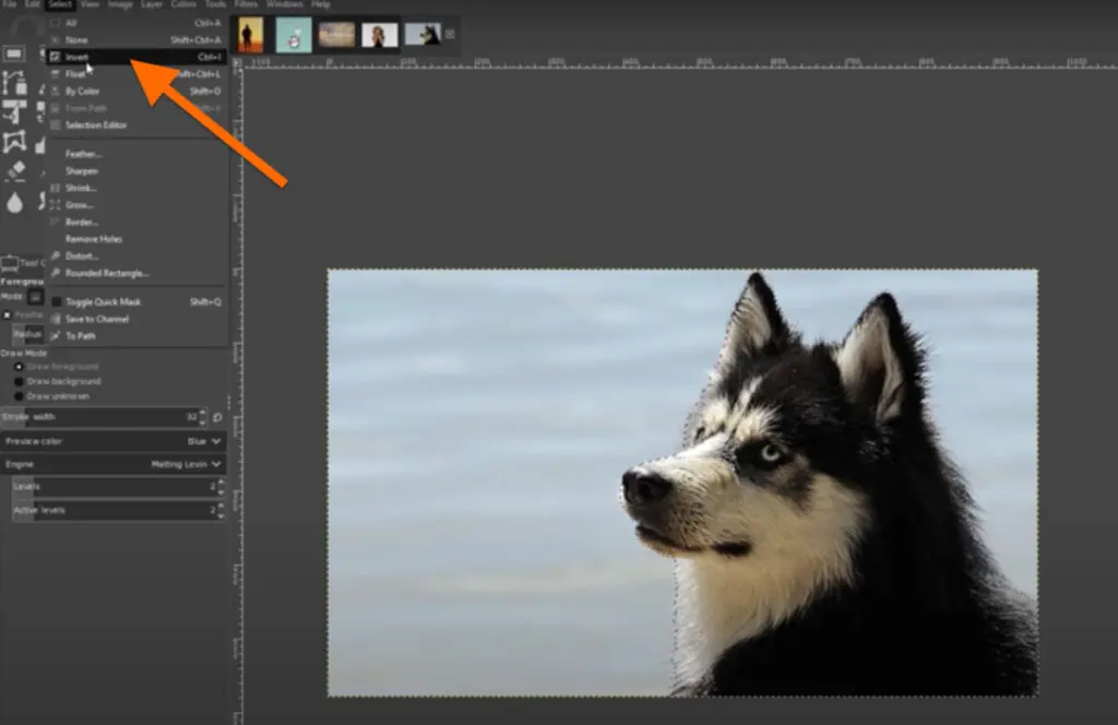 How to Make a Transparent Background - 5 Ways to Remove the Background From  Any Image