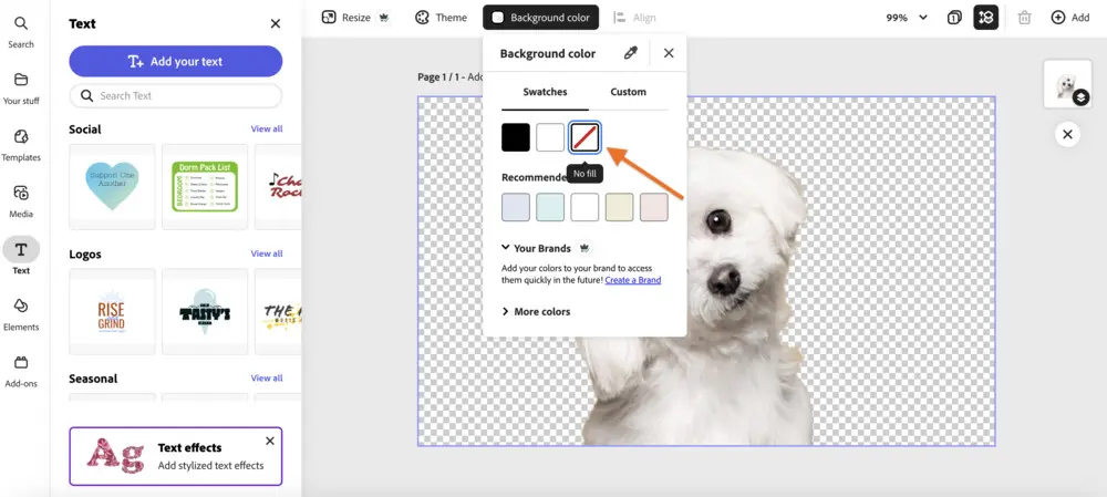 Adobe Photoshop Express editor interface