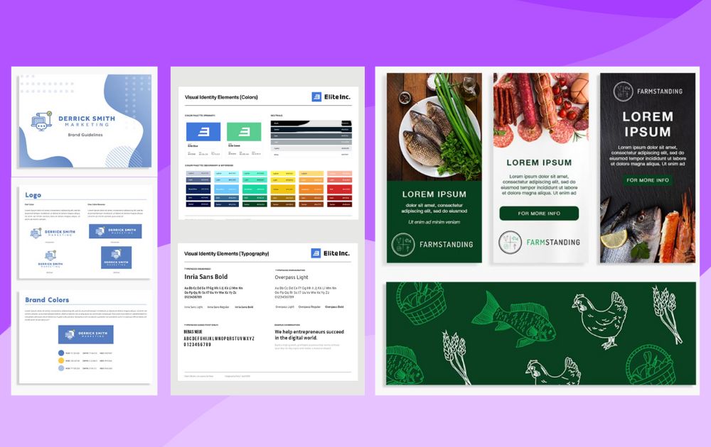illustration of brand style guide
