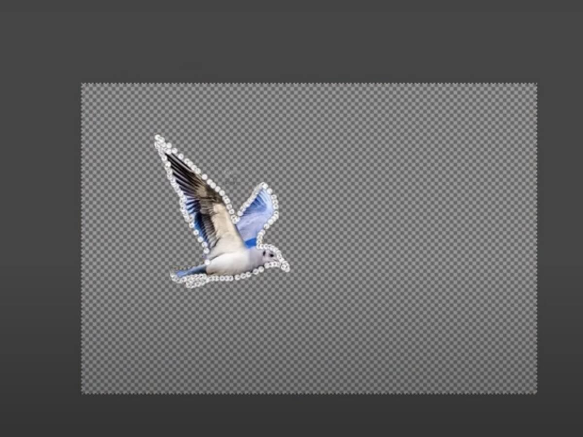 How to Remove Background in Gimp 5 Methods Unlimited Graphic Design Service