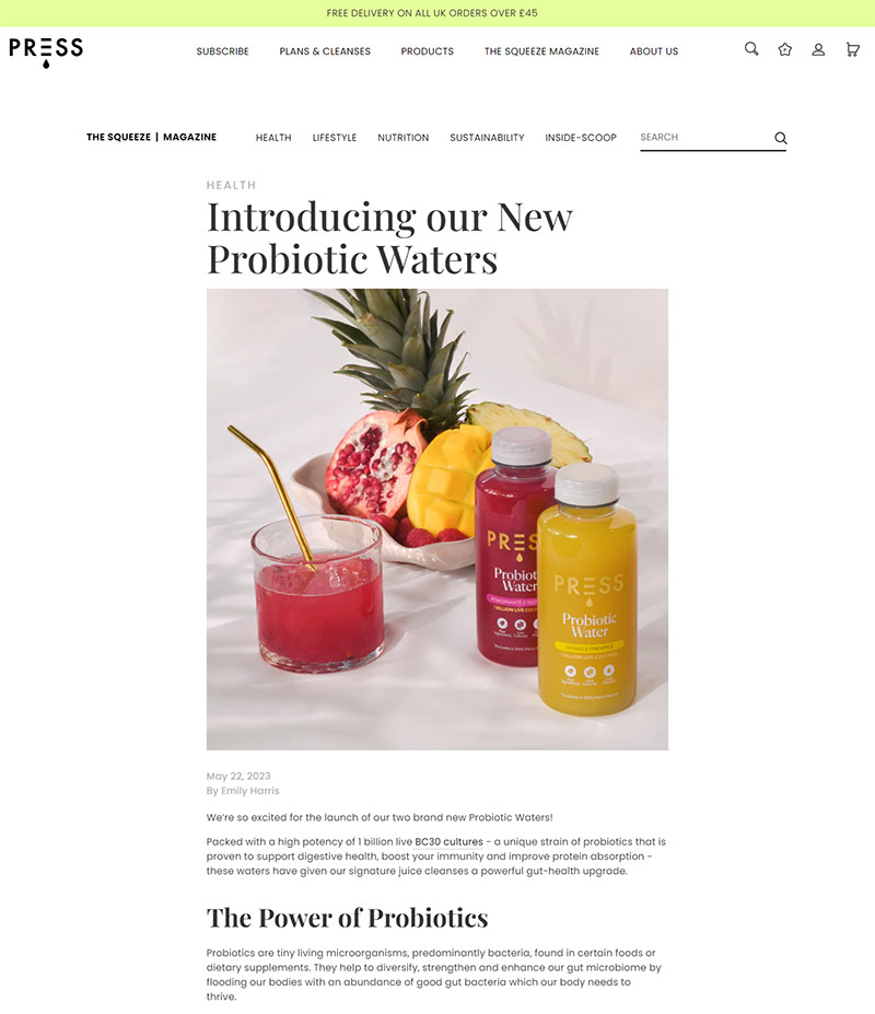 shopify blog post example