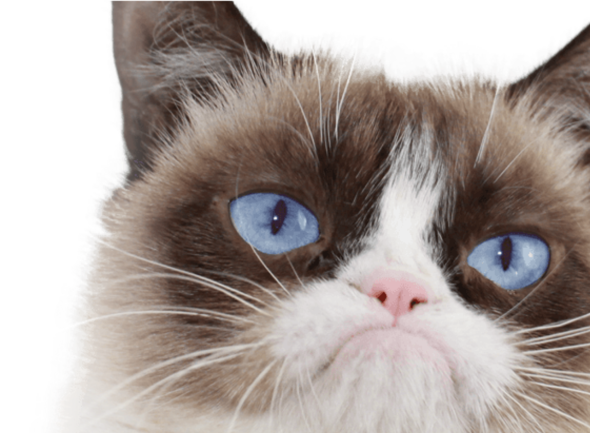 Building a Grumpy Cat Empire: Design & Fan Engagement cover