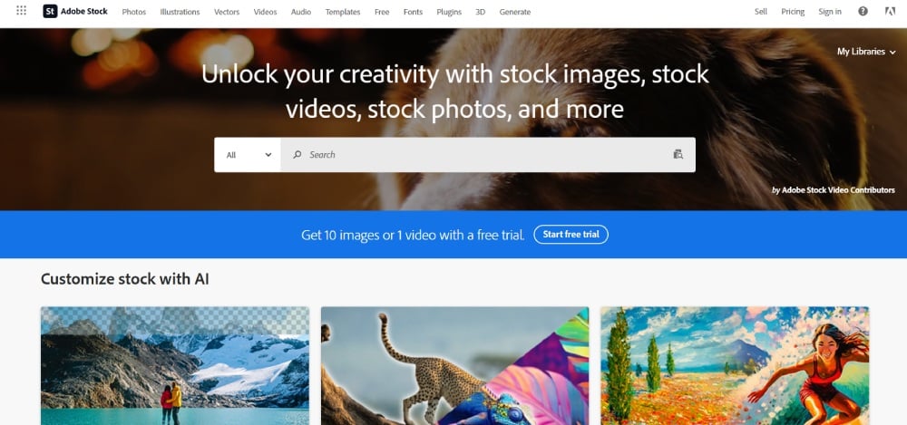 adobe stock home page