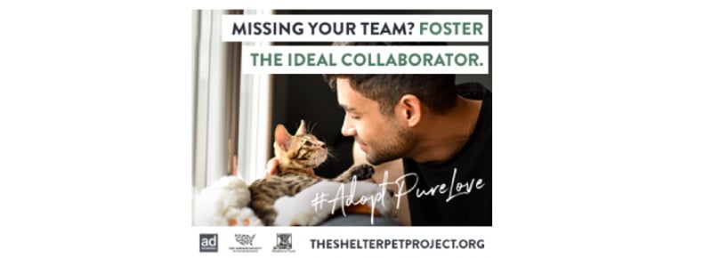 shelter life project banner ad