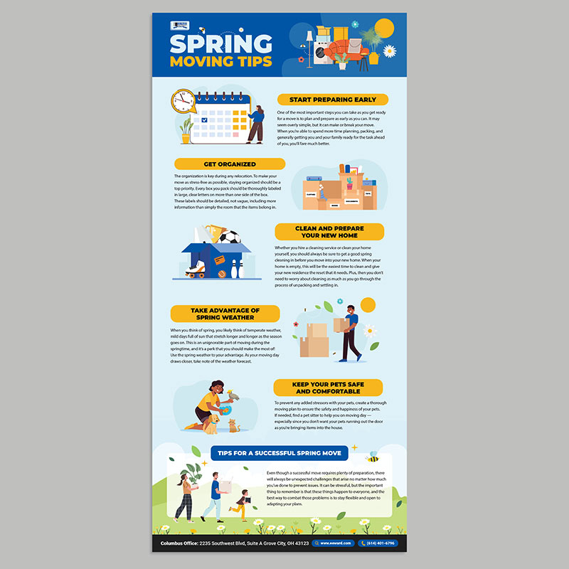 Infographic design service