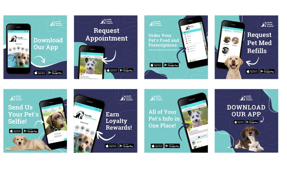 Designing Services vet services social media
