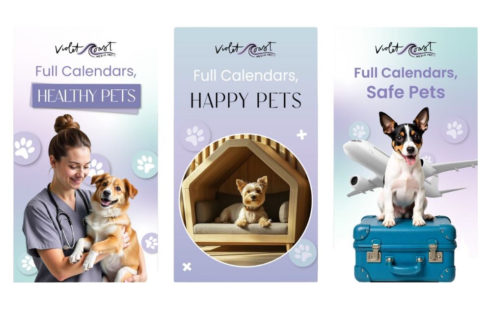 Designing Services vet services carousel
